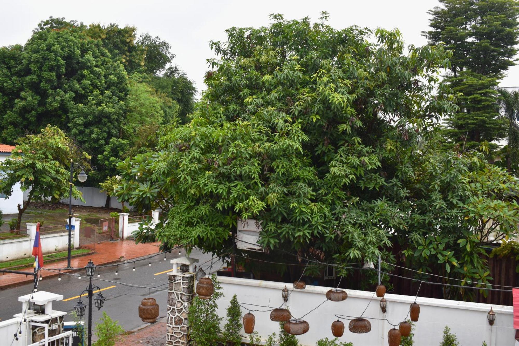 Monsane Villa Luang Prabang Ngoại thất bức ảnh